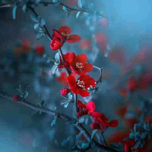  لیلای عزیزم سر راحت میشینم